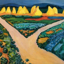 Vegetable Fields